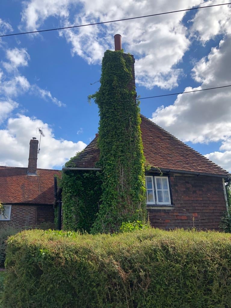 Ivy removed from a brick chimney stack on a Kent property